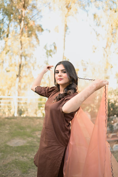 Saniya - Farshi Shalwar Suit
