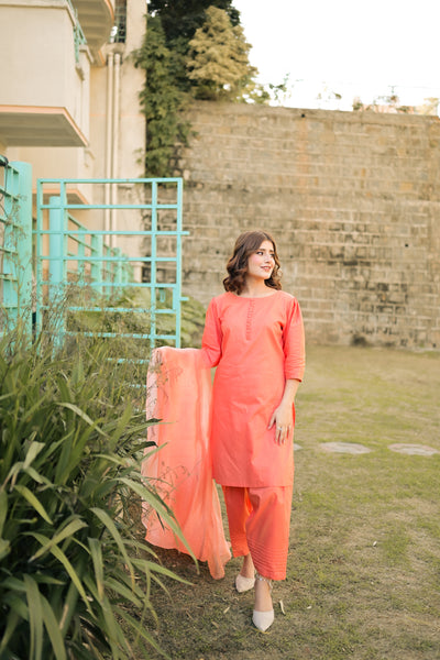 Hania - Farshi Shalwar Suit