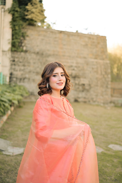 Hania - Farshi Shalwar Suit