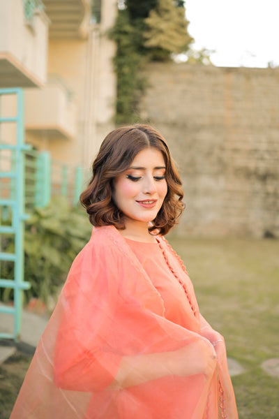 Hania - Farshi Shalwar Suit