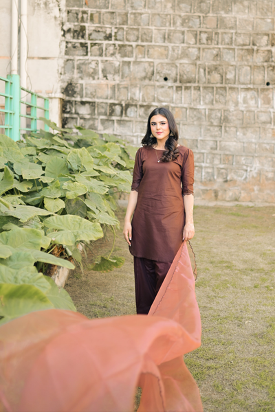 Saniya - Farshi Shalwar Suit