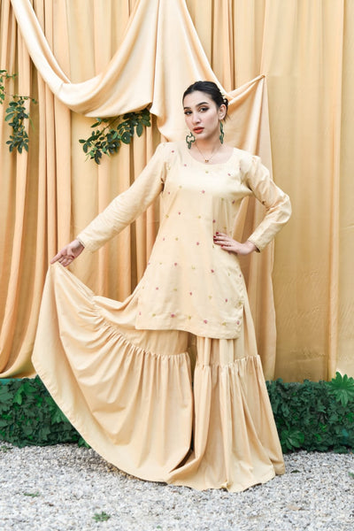 Jolene 2Pc, Embroidered Gharara Set