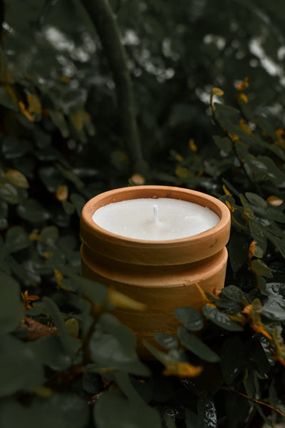 Cypress,Scented Candle.