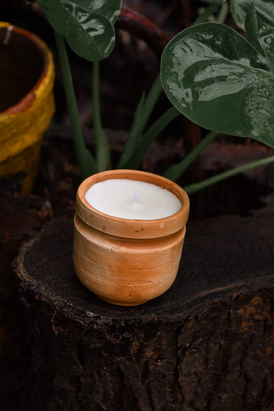 Cypress,Scented Candle.