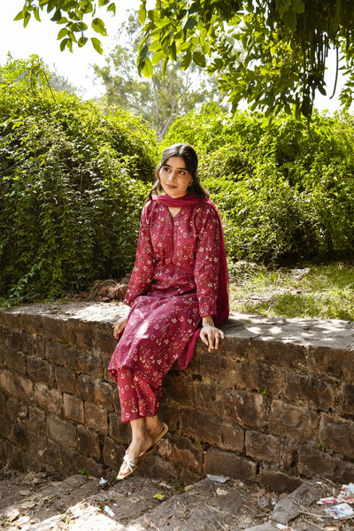 Deena, Printed Khaddar Dress.