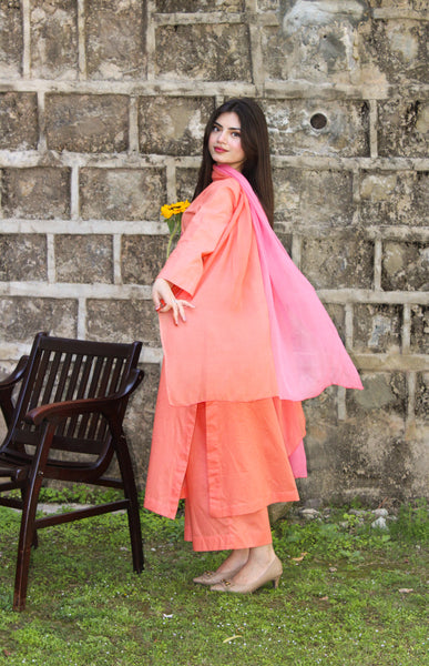 Khizaan - Embroidered Dress