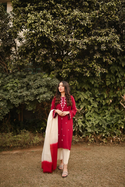 Qirmizi - Embroidered Formal Dress