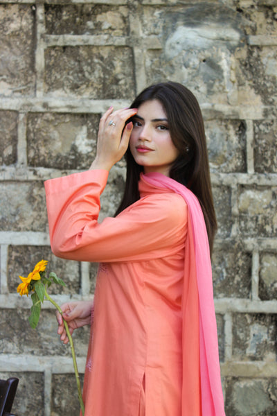 Khizaan - Embroidered Dress